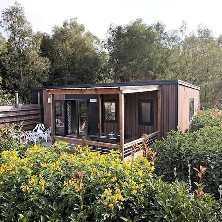 Camping Les Castors Calvi (Corsica) Exterior foto