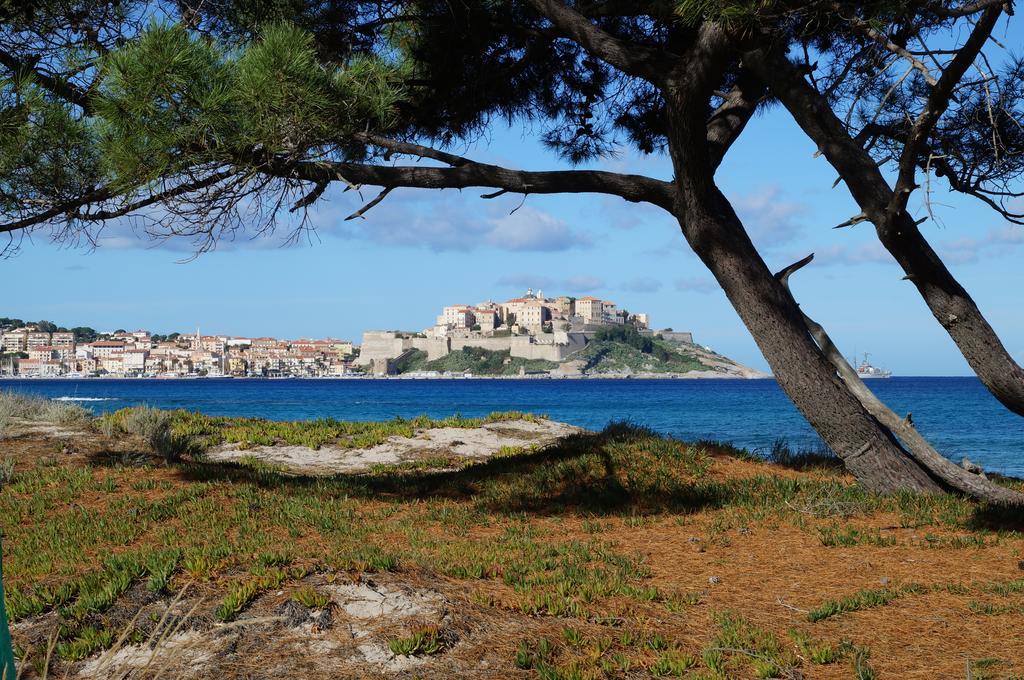Camping Les Castors Calvi (Corsica) Exterior foto