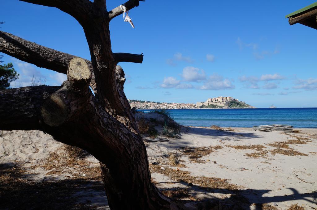 Camping Les Castors Calvi (Corsica) Exterior foto