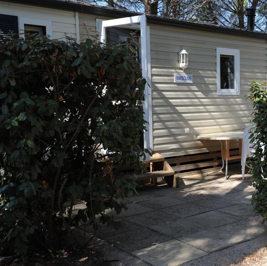 Camping Les Castors Calvi (Corsica) Exterior foto